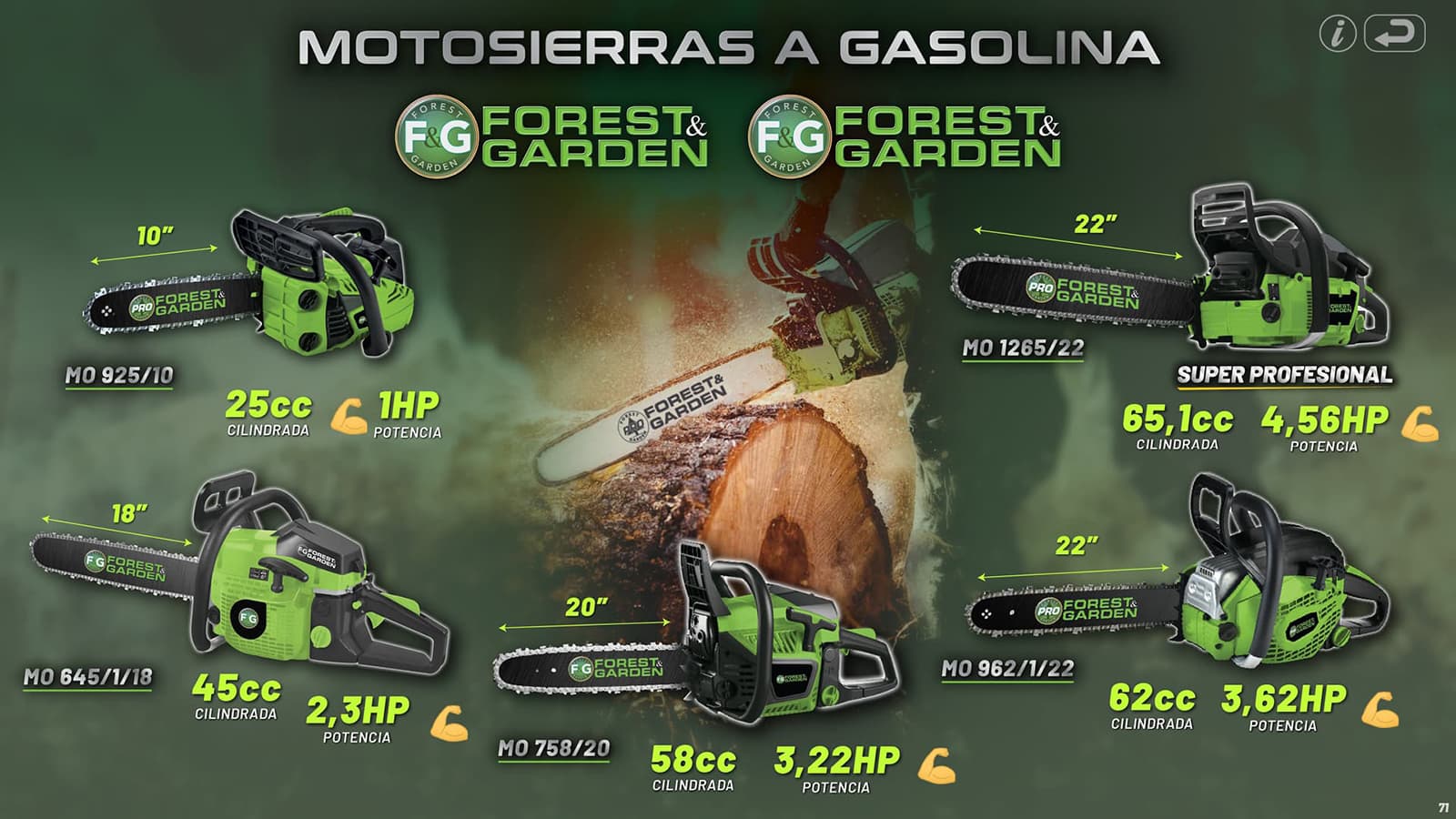 Motosierras F&G