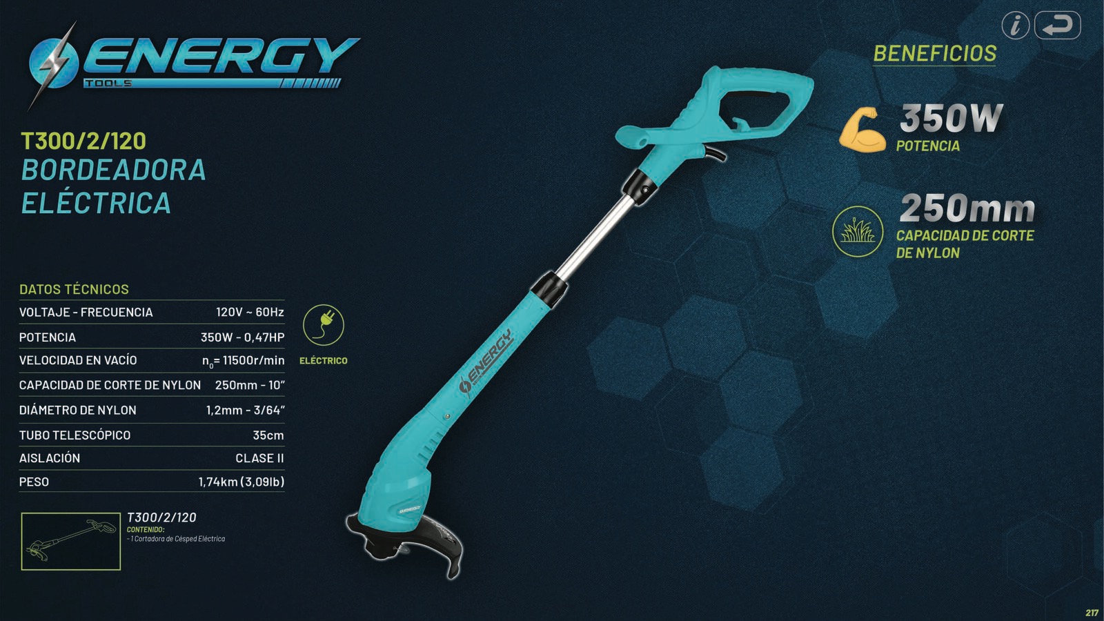 ENERGY_217