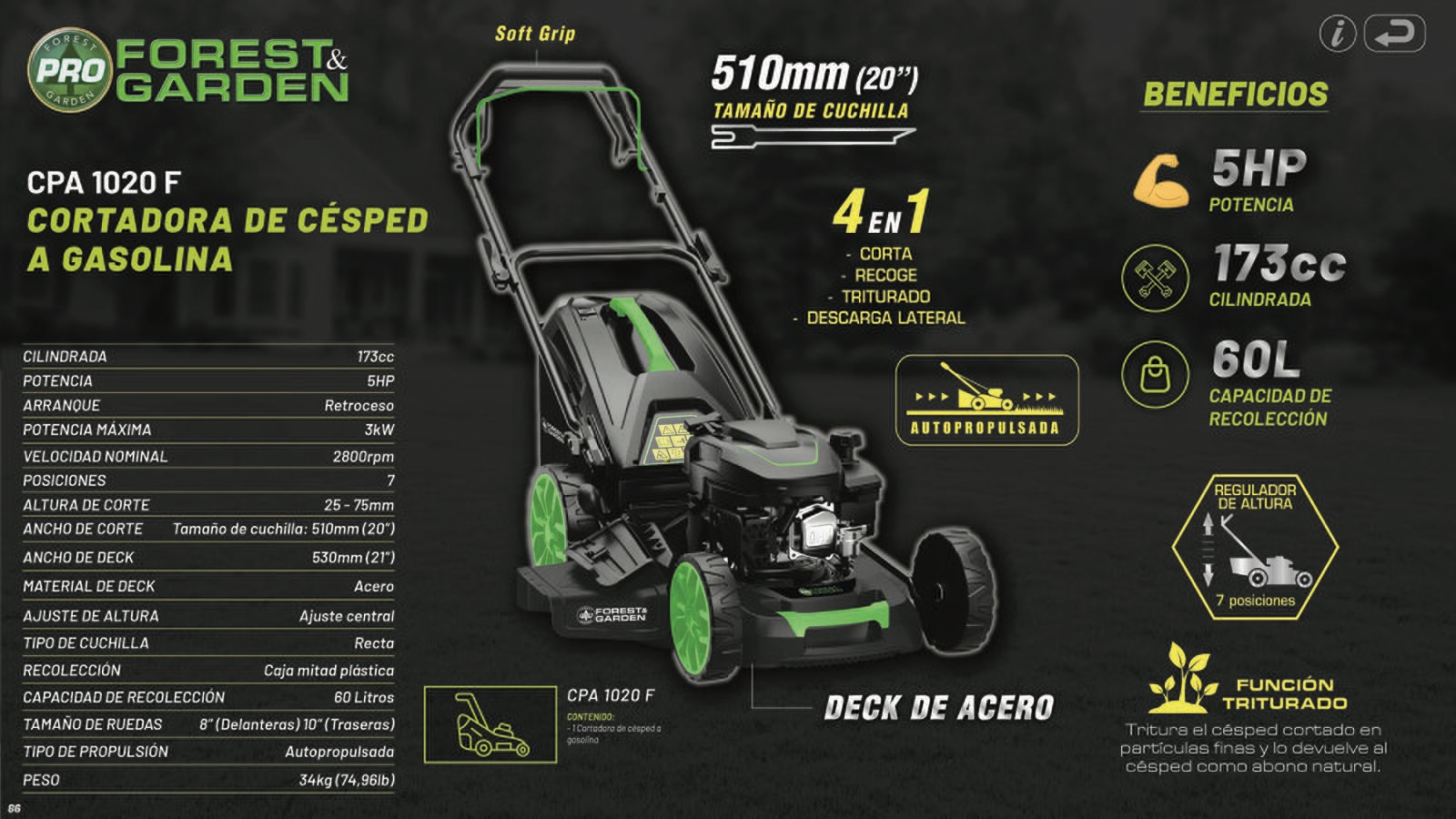 FOREST_AND_GARDEN_86