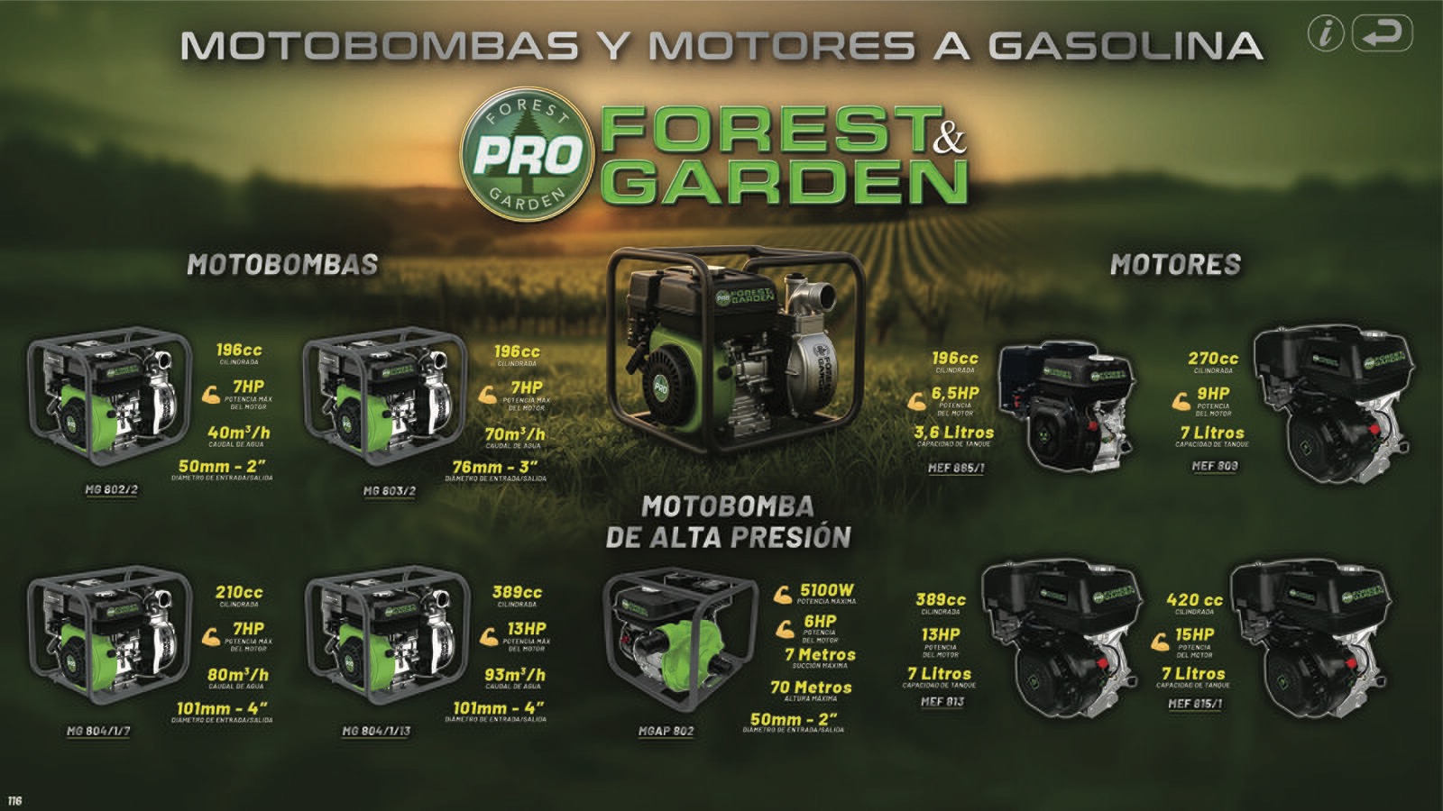 Motobombas y Motores F&G