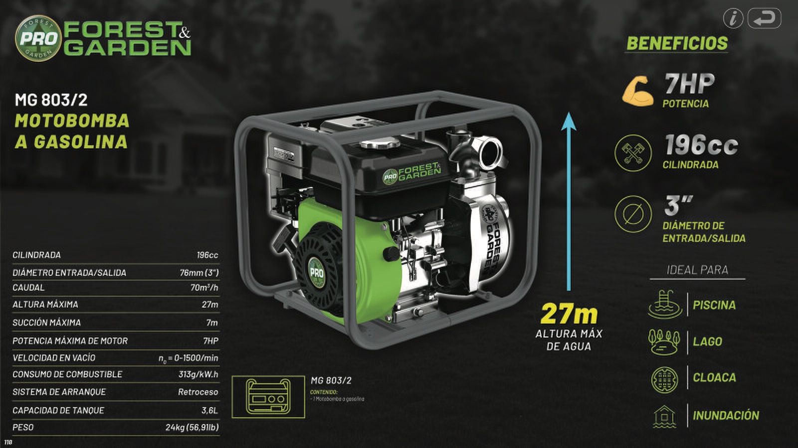 FOREST_AND_GARDEN_118