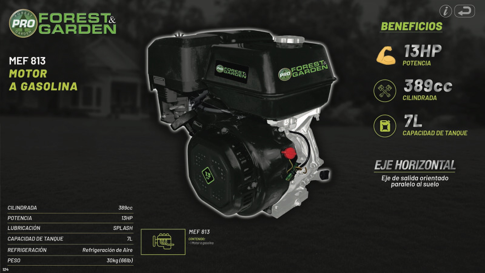 FOREST_AND_GARDEN_124